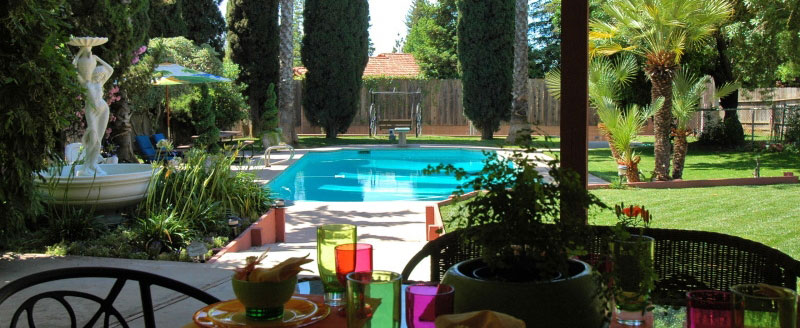 festive swimming pool